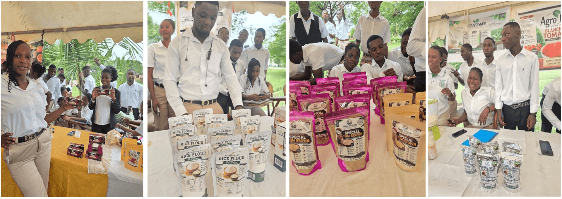 From Ideas to Enterprises: Over 340 Agricultural Students Transform Innovative Business Concepts into Market-Ready Ventures through the A-TVET Connect Ghana and VET Ghana Projects.